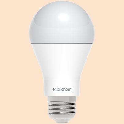 Tampa smart light bulb
